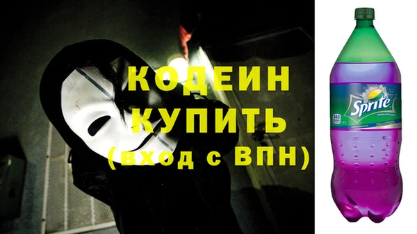 ГАЛЛЮЦИНОГЕННЫЕ ГРИБЫ Верея