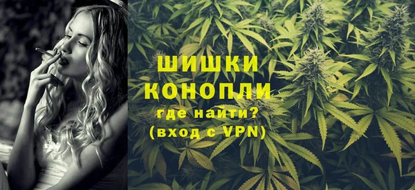 ГАЛЛЮЦИНОГЕННЫЕ ГРИБЫ Верея