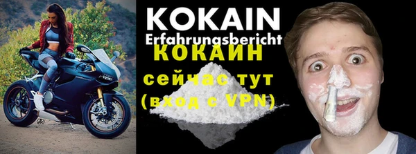 ГАЛЛЮЦИНОГЕННЫЕ ГРИБЫ Верея