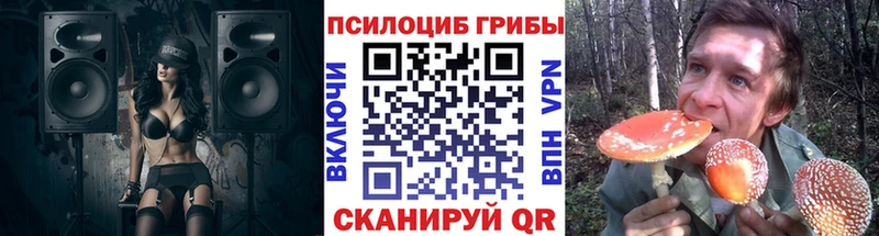 Псилоцибиновые грибы прущие грибы  купить закладку  Мариинск 